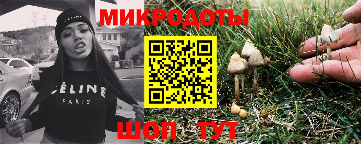 Галлюциногенные грибы мицелий  Вход с VPN  Галлюциногенные грибы Psilocybine cubensis  Нефтекумск 