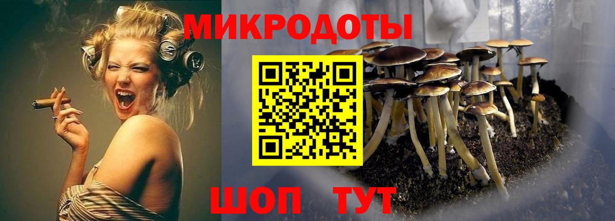 Псилоцибиновые грибы Psilocybe Нефтекумск